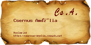 Csernus Amália névjegykártya
